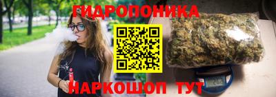 МДПВ Партизанск