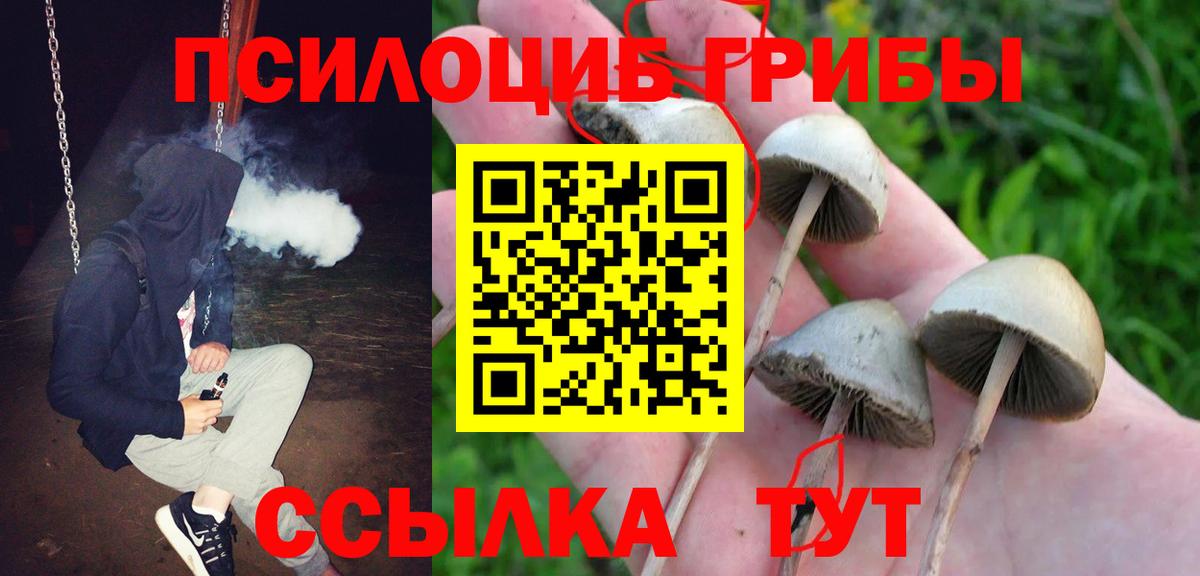 Среднеуральск  Галлюциногенные грибы прущие грибы  Галлюциногенные грибы Psilocybe  Вход с VPN 
